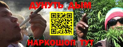 крисы Краснодар