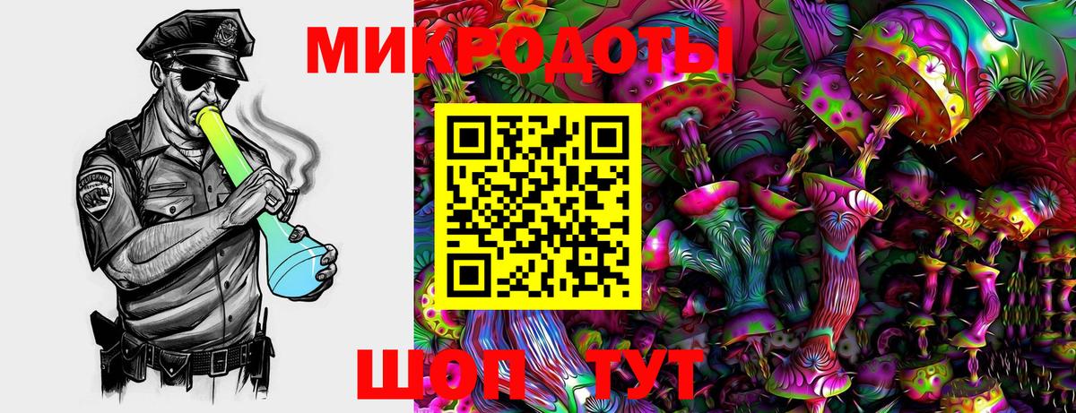 Кириши  Галлюциногенные грибы MAGIC MUSHROOMS  Вход с VPN  Галлюциногенные грибы ЛСД 