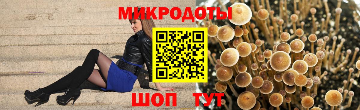 Псилоцибиновые грибы Cubensis Кириши