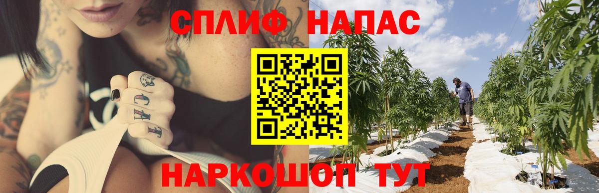 Кириши  Канабис THC 21%  Вход с VPN  Бошки Шишки MAZAR  МАРИХУАНА Amnesia  Канабис план 
